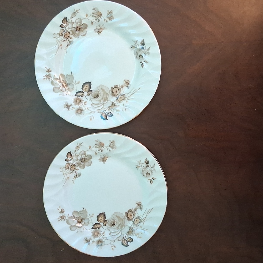 2 Queen Anne Floral Bread/Butter Plates  'Terra Nova'